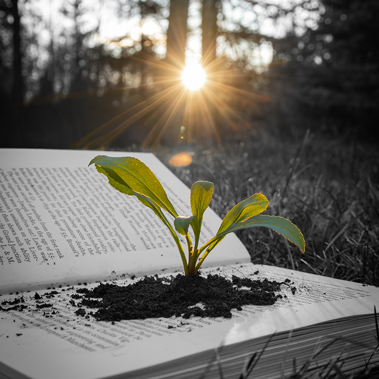 Scholastic Arts Awards